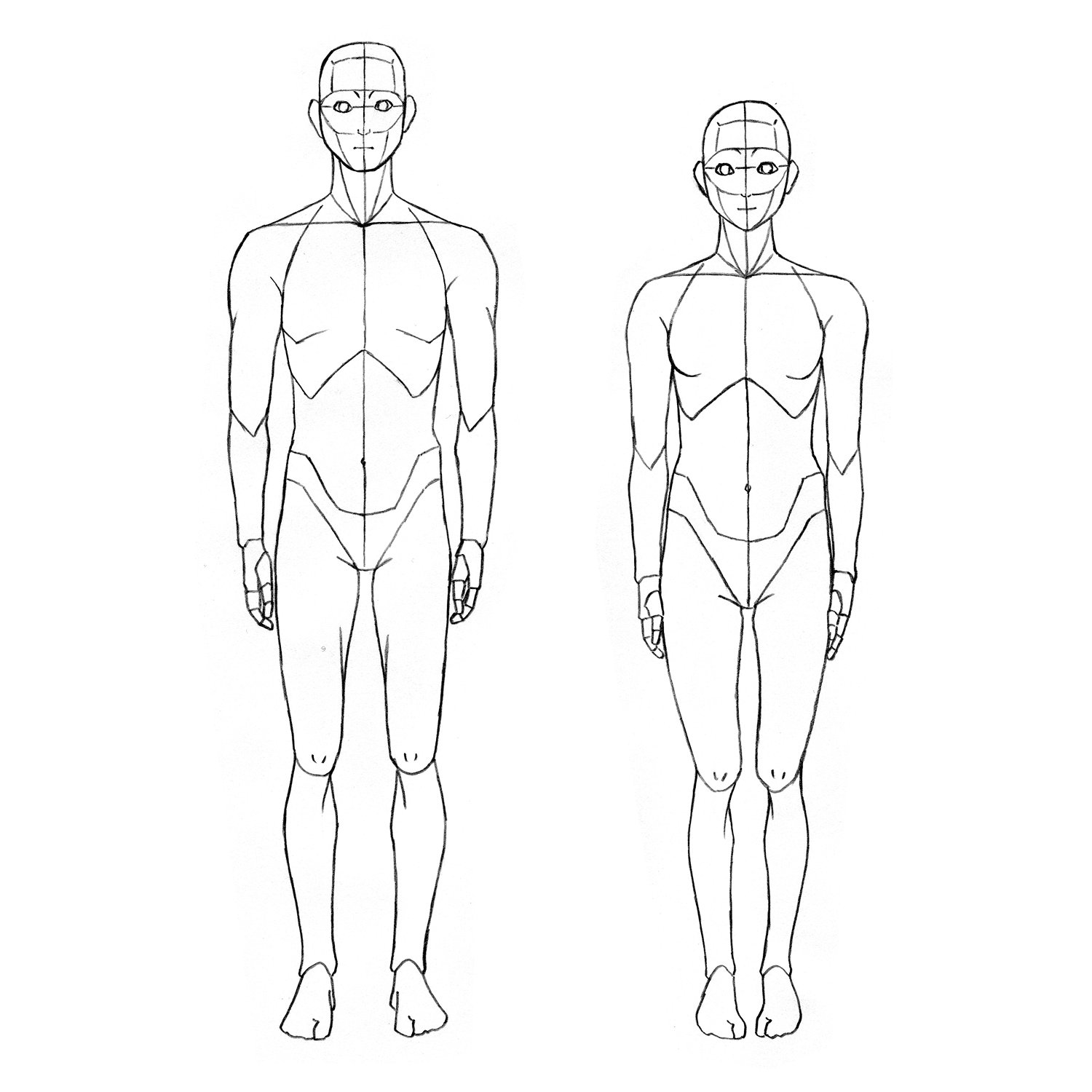 男女の描き分けの画像